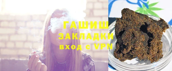 гашик Алексин