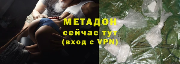 гашик Алексин