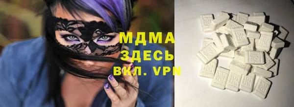 гашик Алексин