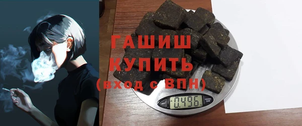 гашик Алексин