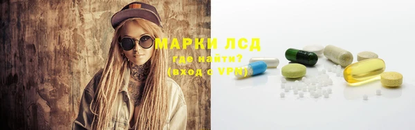 гашик Алексин