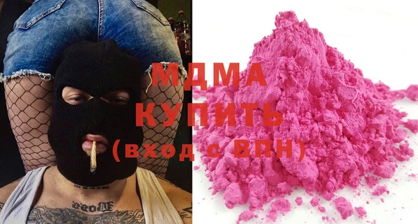 гашик Алексин