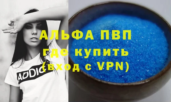 гашик Алексин