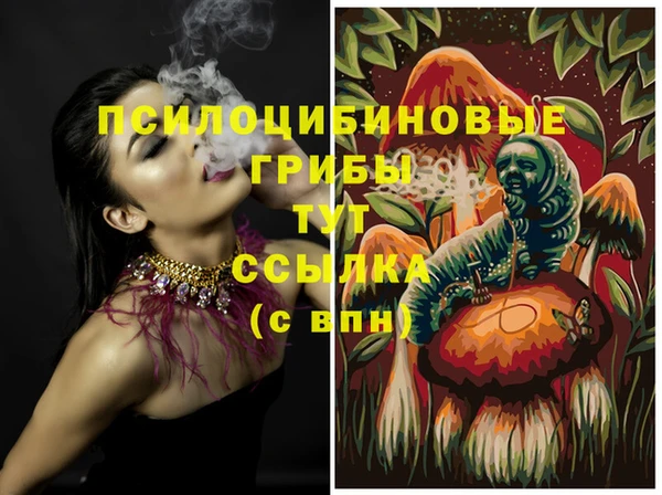 герыч Алзамай